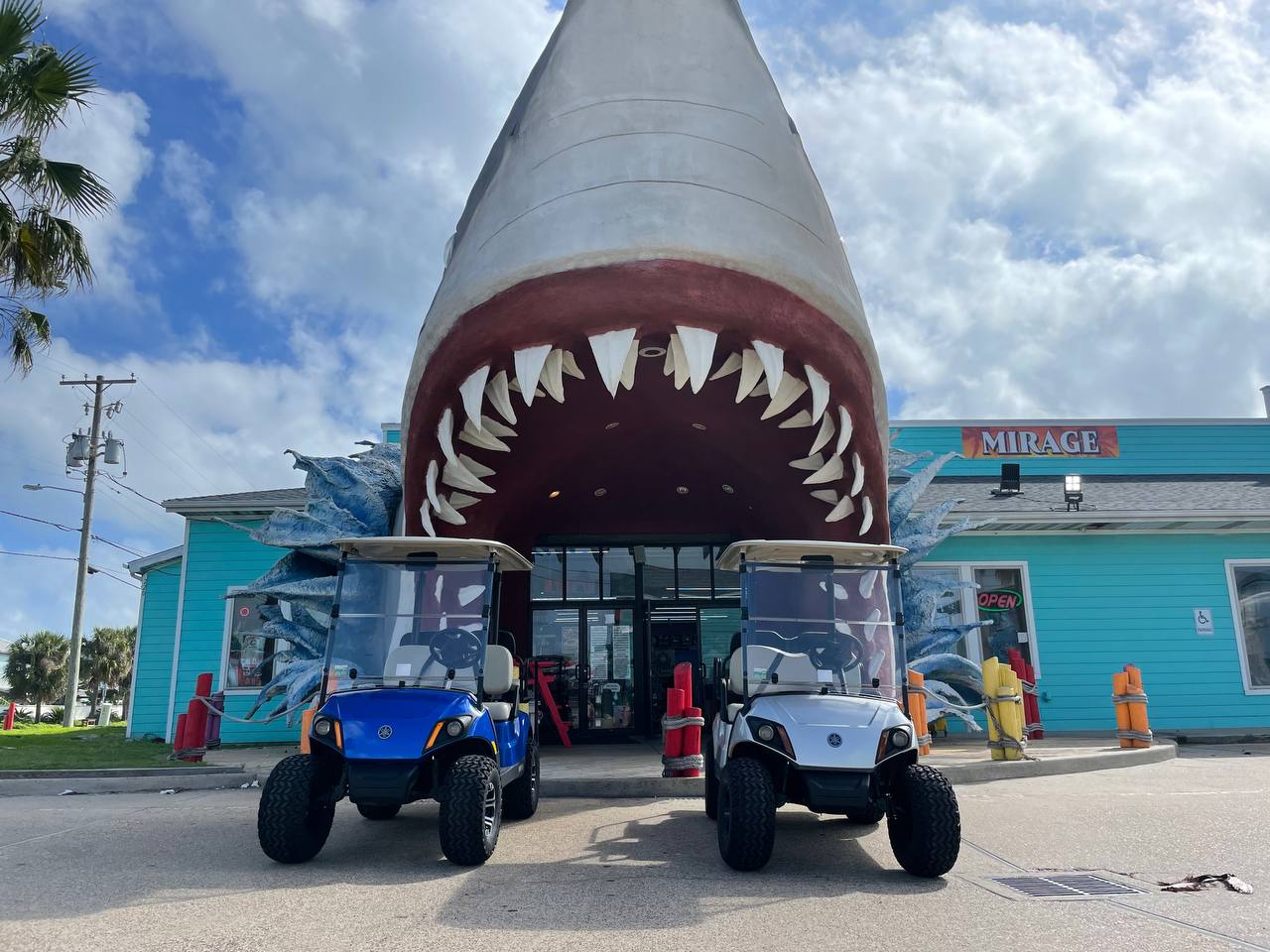 Shark 1.jpg Shark 1.jpg